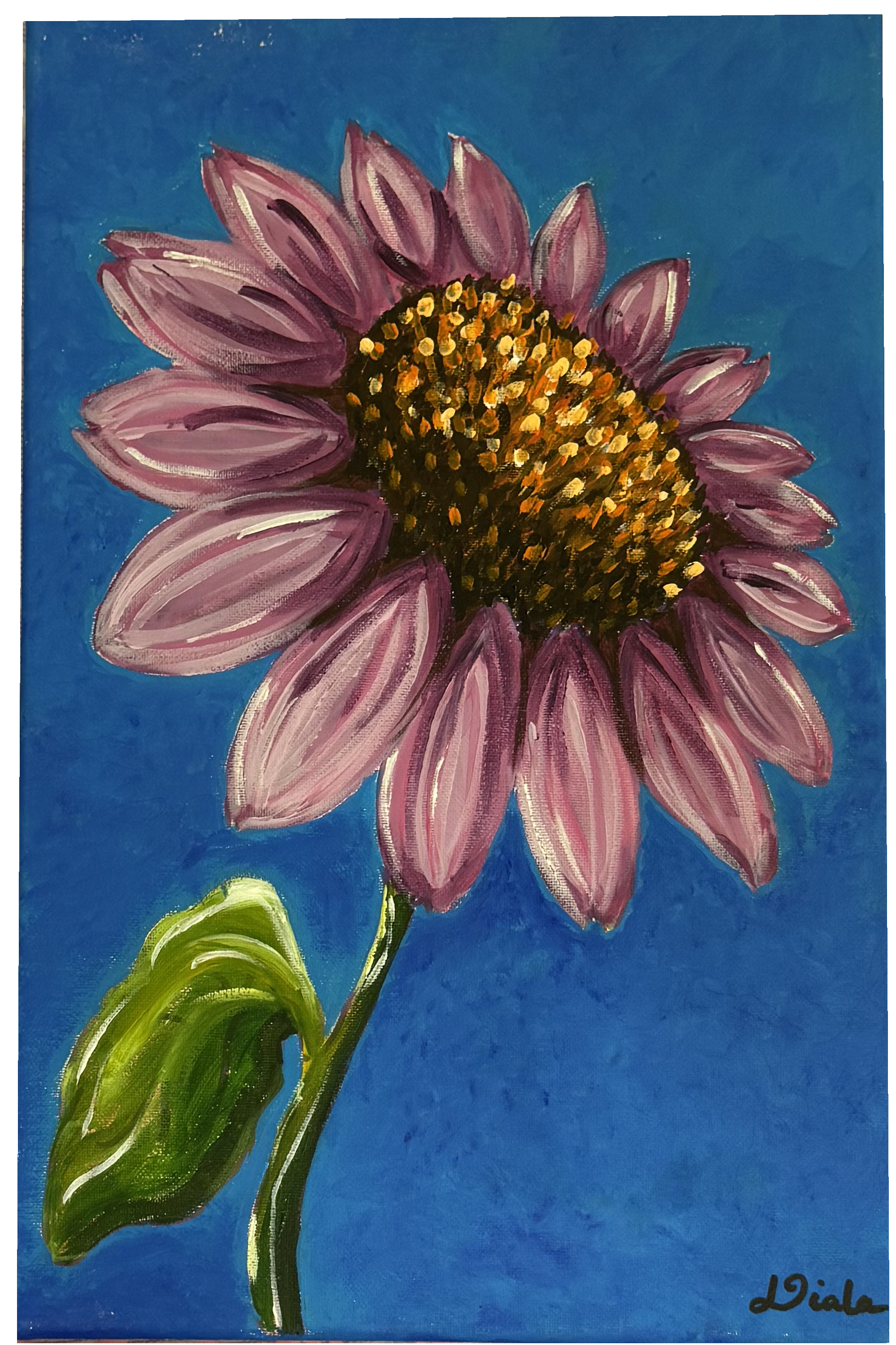 A pink-petalled flower leaning to one side, its centre dense with gold and brown, against a deep blue ground.